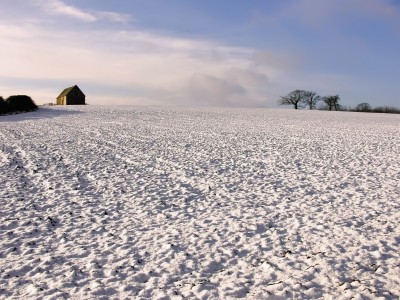 pole pokryte śniegiem
