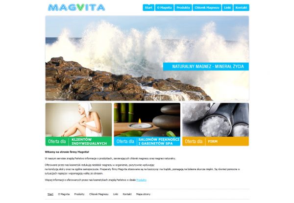Projekt strony Magvita